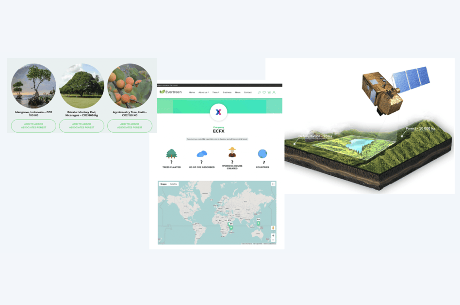 ECFX/Evertreen Giving Green Sustainability Initiative